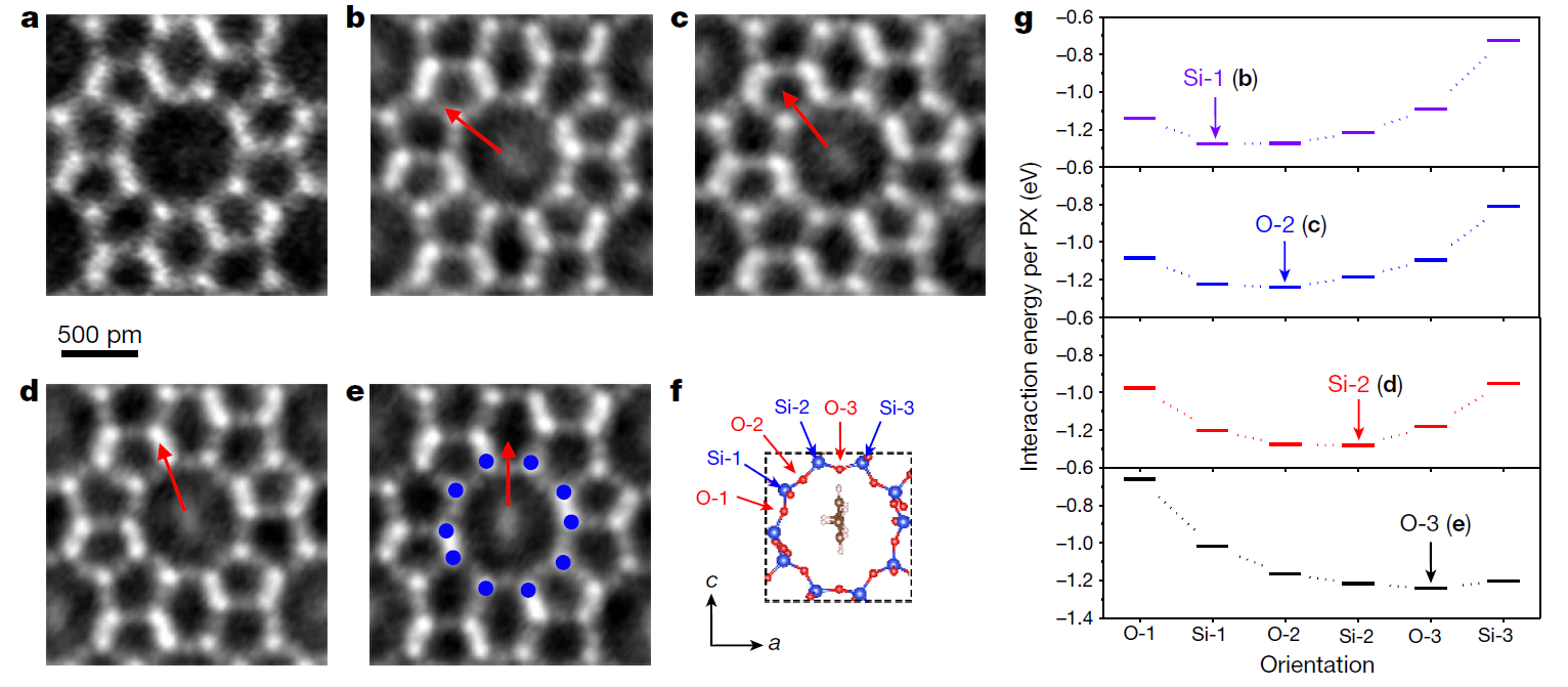2025新澳门开门原料免费