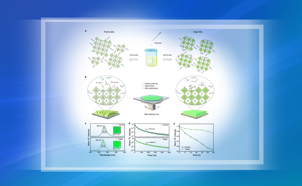 2025新澳门开门原料免费