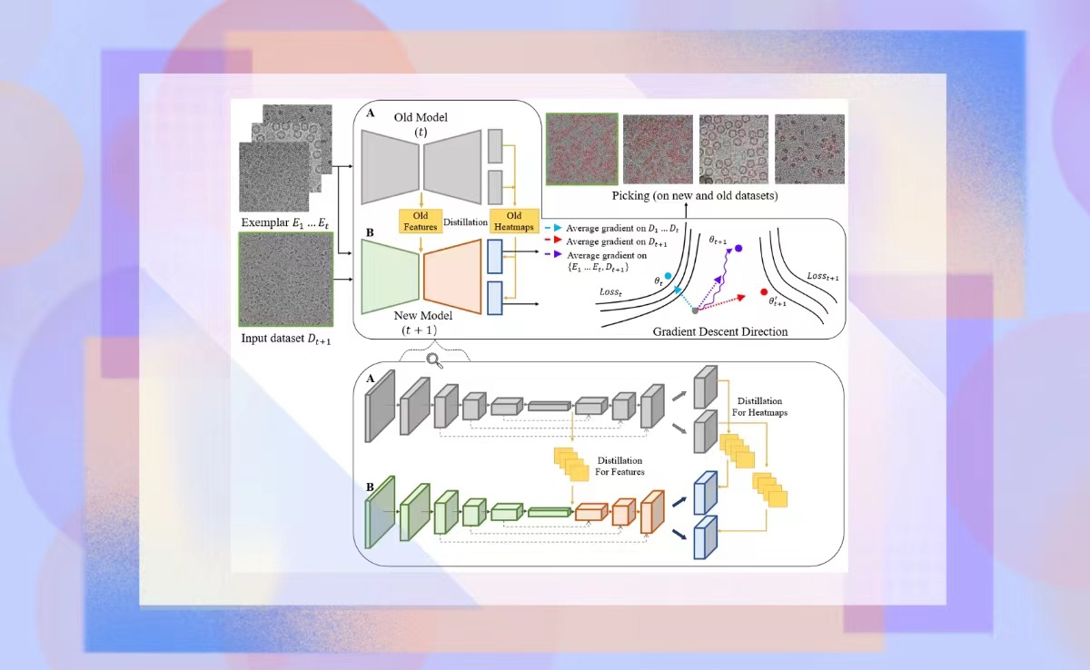 2025新澳门开门原料免费
