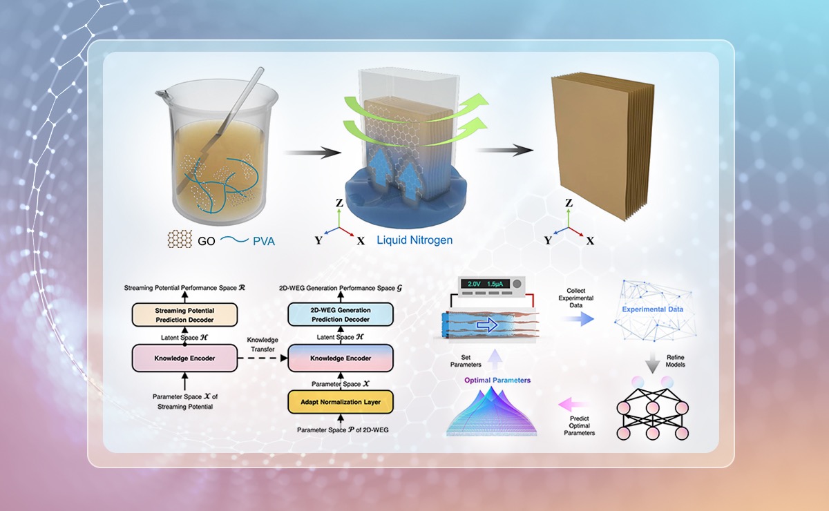 2025新澳门开门原料免费