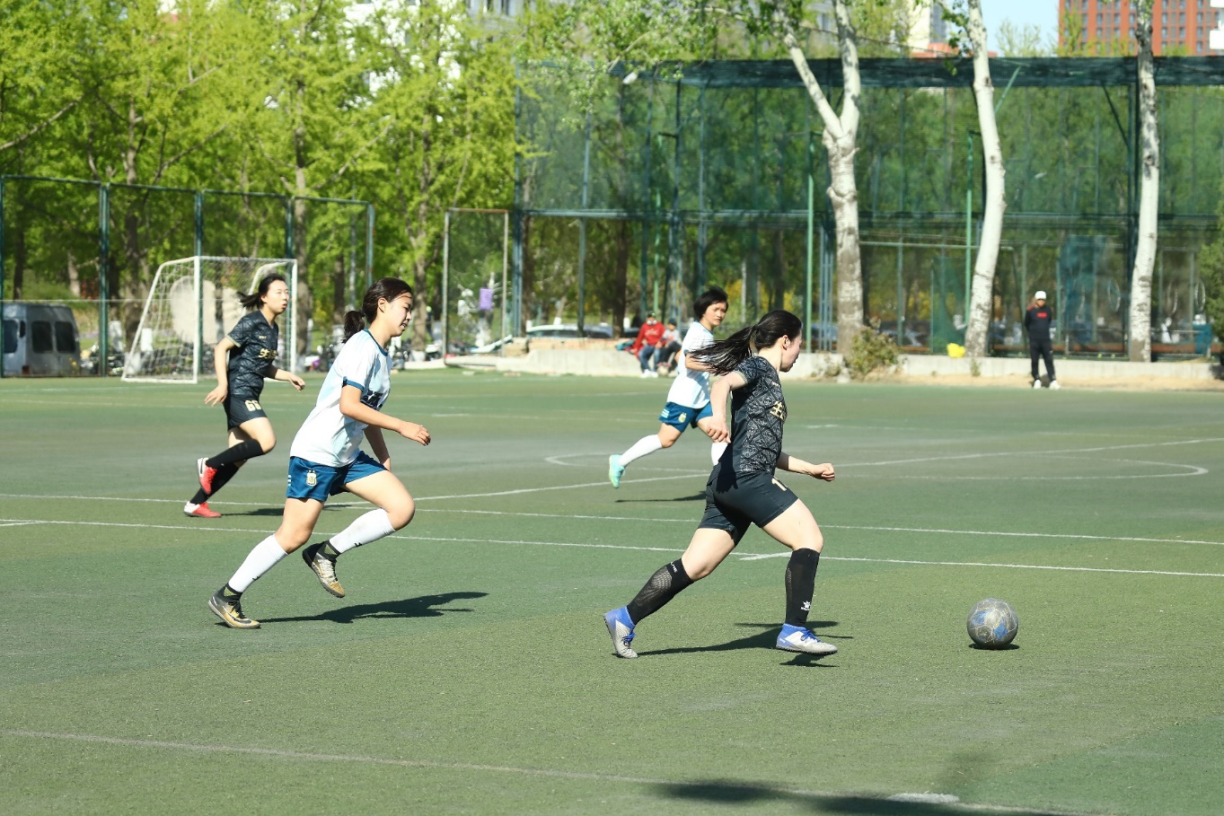 2025新澳门开门原料免费