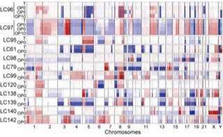 2025新澳门开门原料免费
