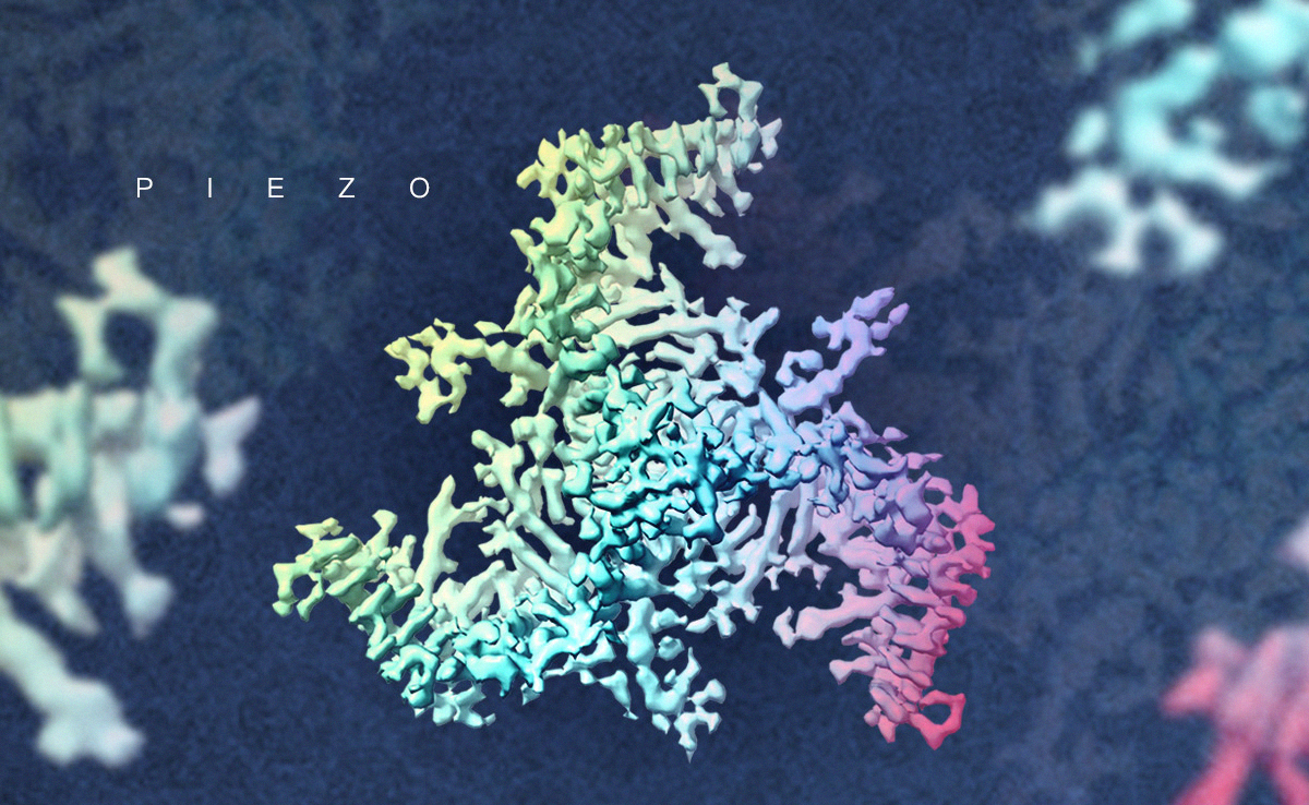 2025新澳门开门原料免费