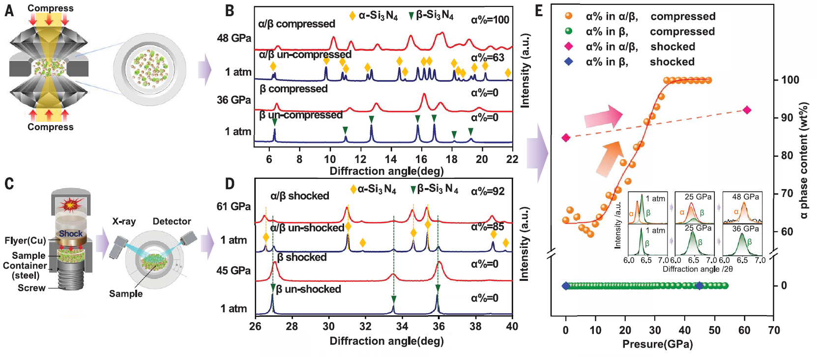 2025新澳门开门原料免费