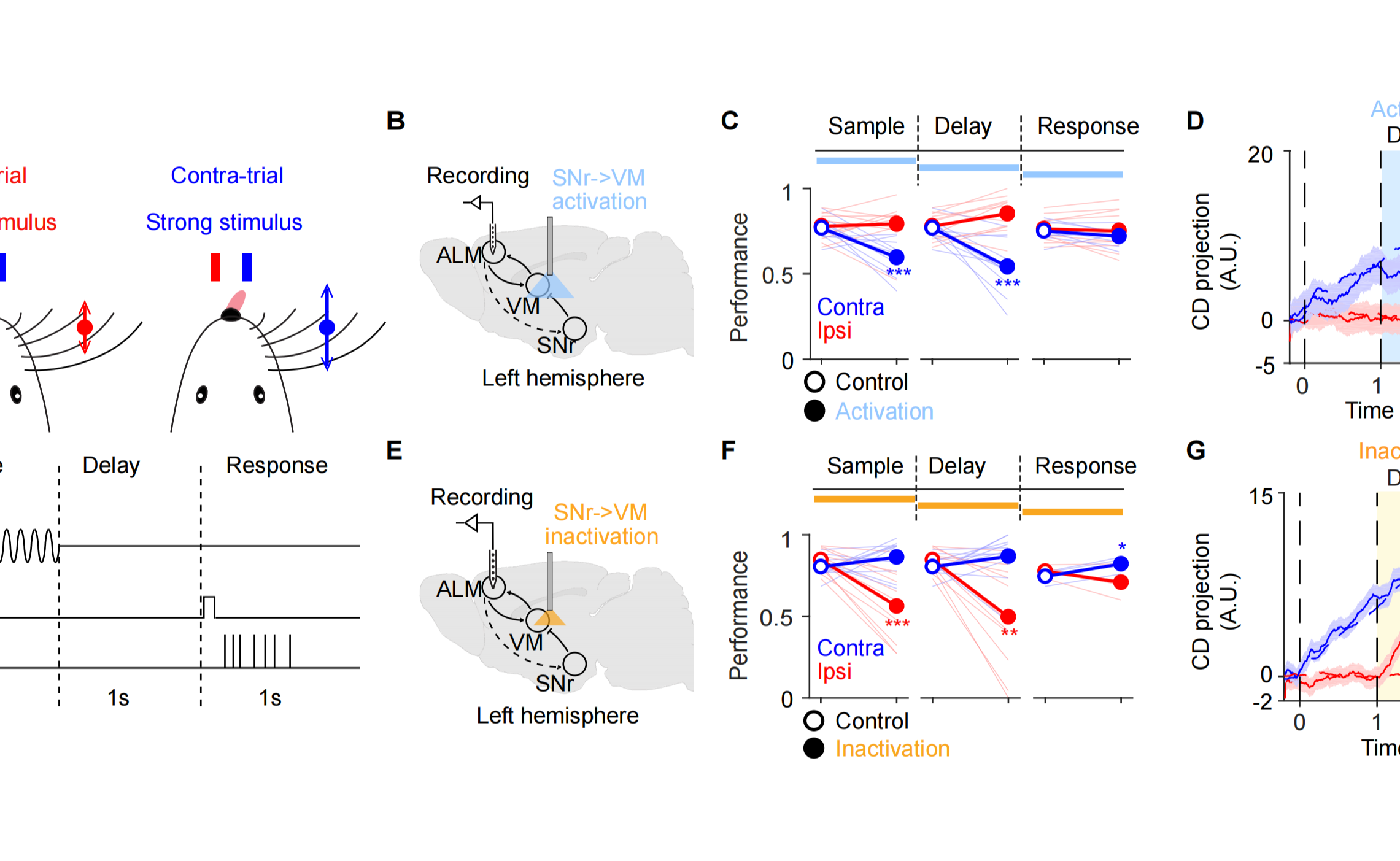 2025新澳门开门原料免费