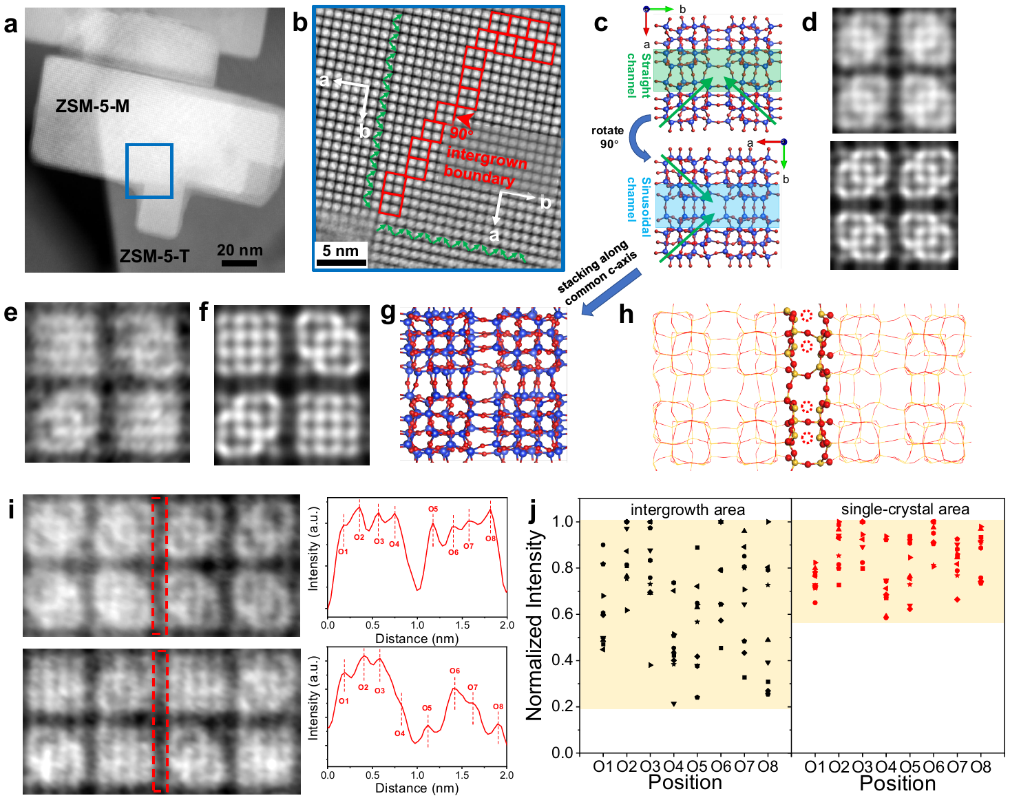 2025新澳门开门原料免费