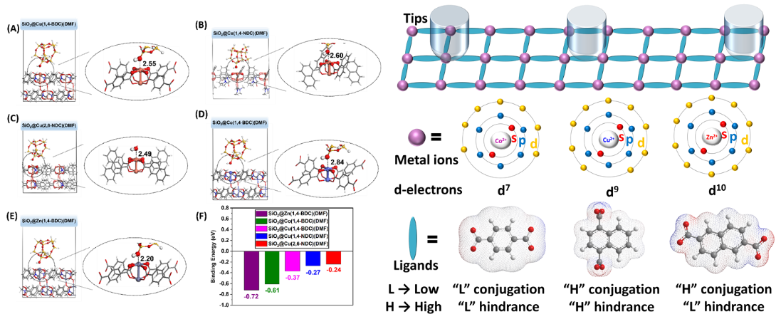 2025新澳门开门原料免费