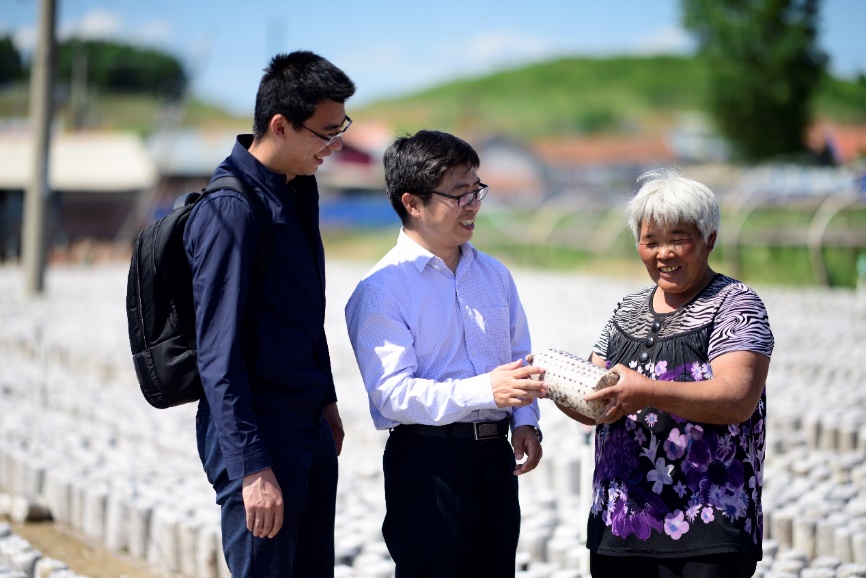 2025新澳门开门原料免费