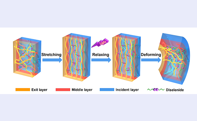 2025新澳门开门原料免费