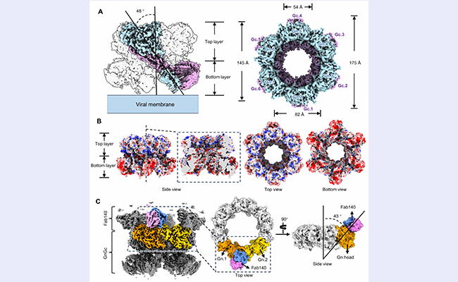 2025新澳门开门原料免费