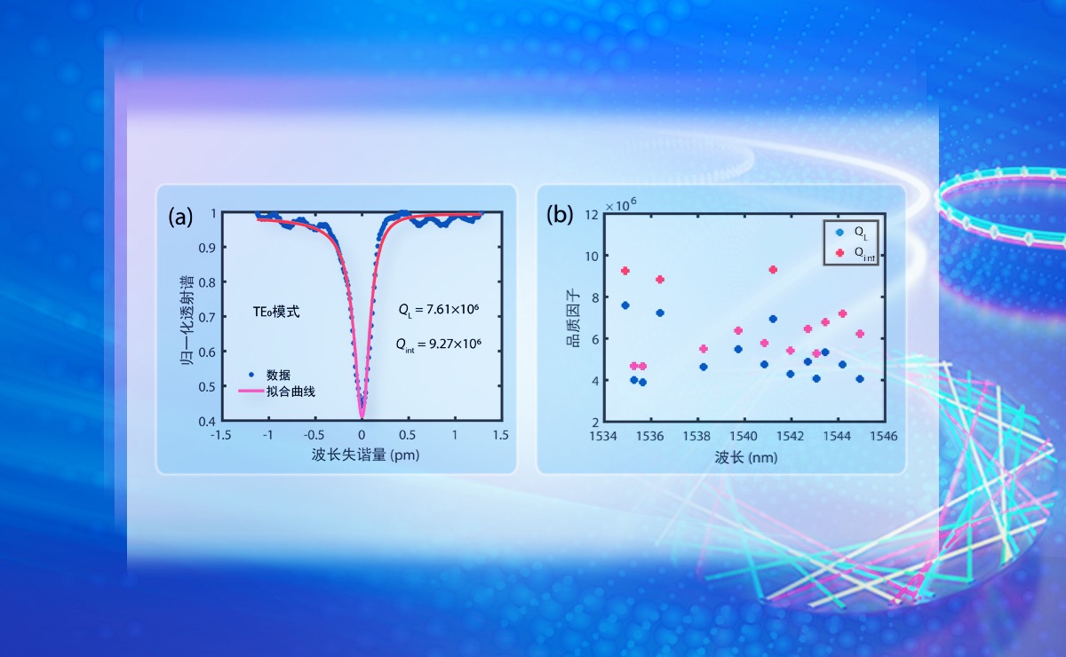 2025新澳门开门原料免费