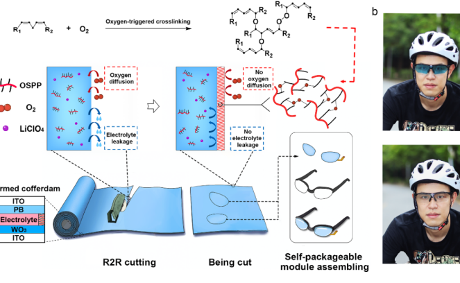 2025新澳门开门原料免费