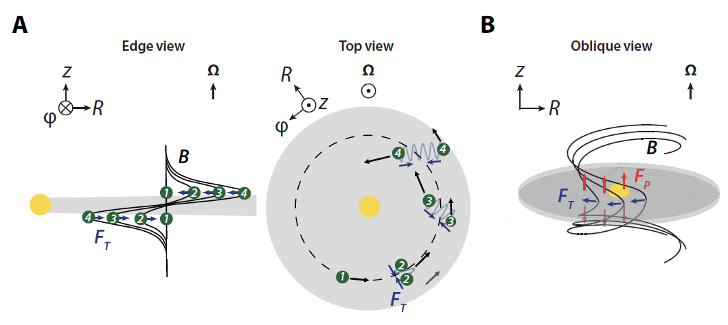 2025新澳门开门原料免费