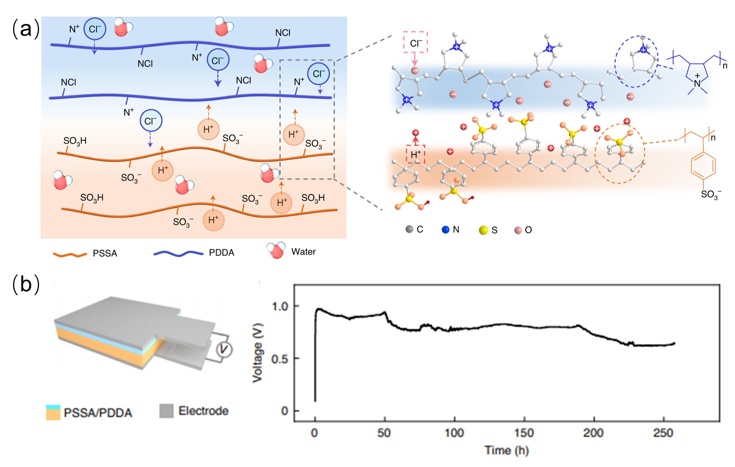 2025新澳门开门原料免费