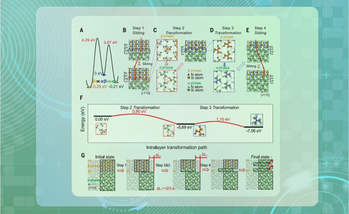 2025新澳门开门原料免费