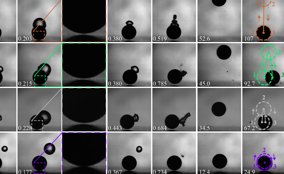 2025新澳门开门原料免费