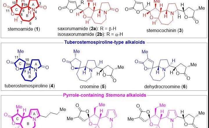 2025新澳门开门原料免费