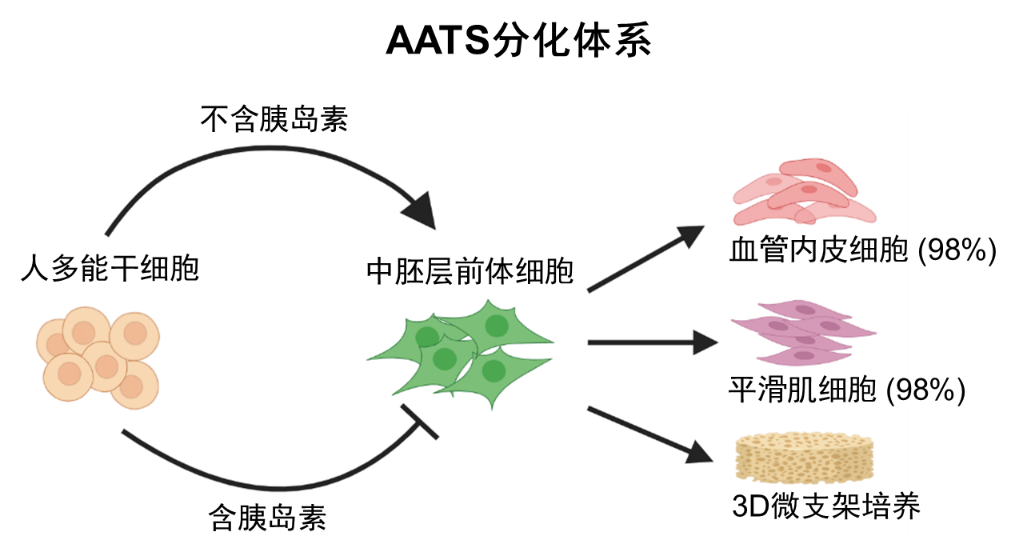 2025新澳门开门原料免费