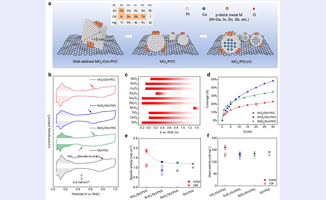 2025新澳门开门原料免费