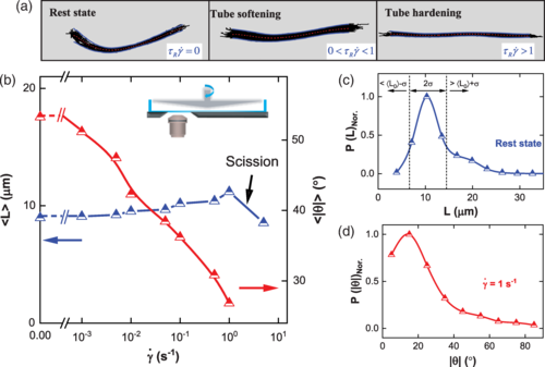 2025新澳门开门原料免费