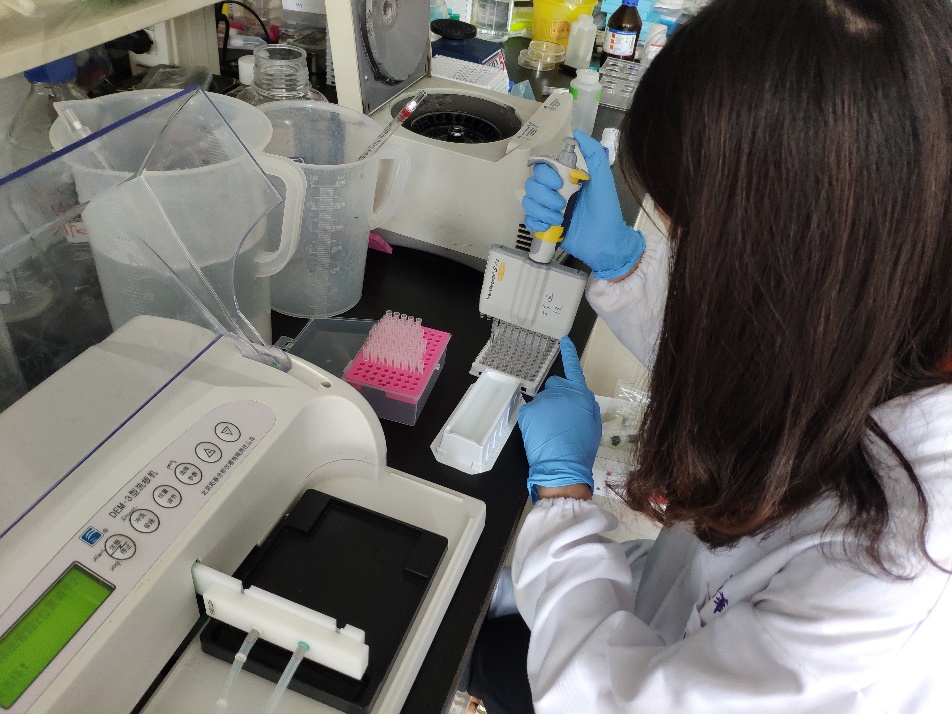 2025新澳门开门原料免费