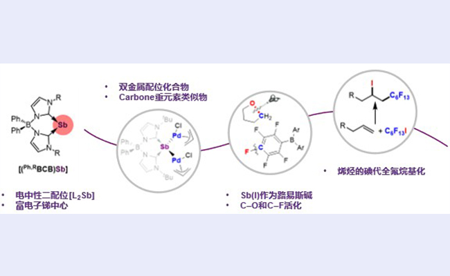 2025新澳门开门原料免费