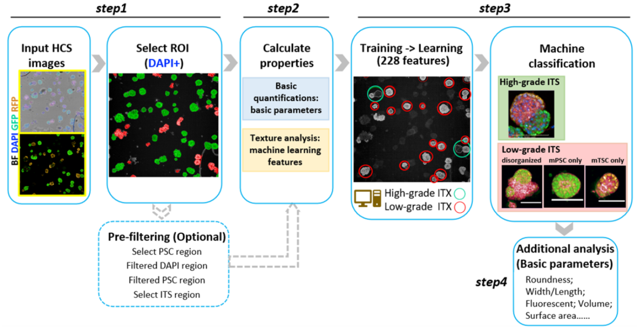 2025新澳门开门原料免费