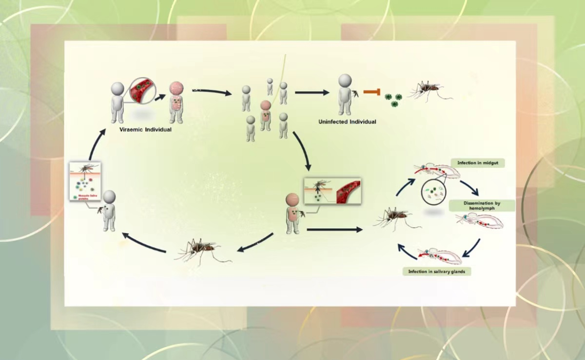 2025新澳门开门原料免费