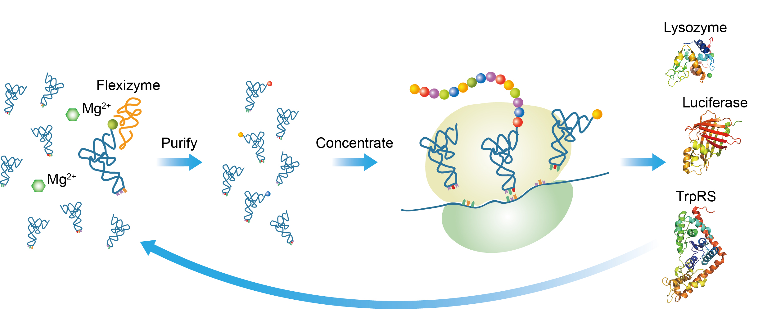 2025新澳门开门原料免费