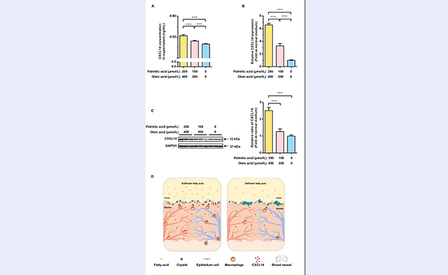 2025新澳门开门原料免费