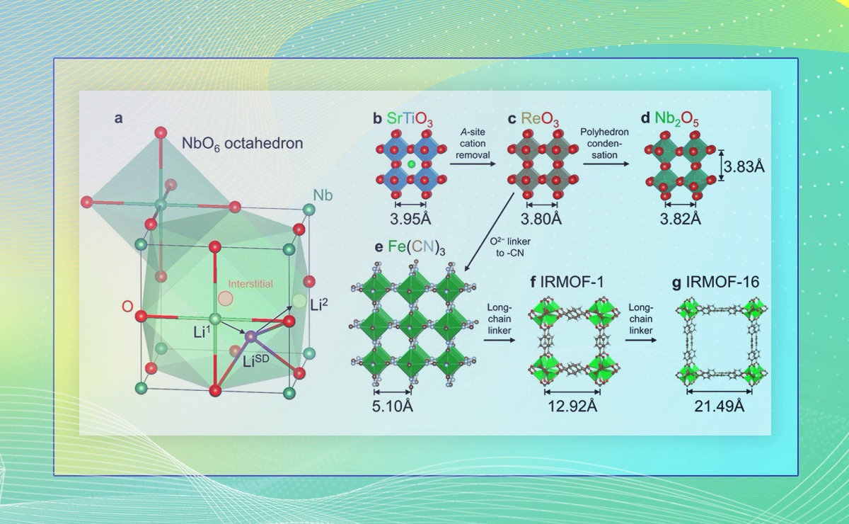 2025新澳门开门原料免费