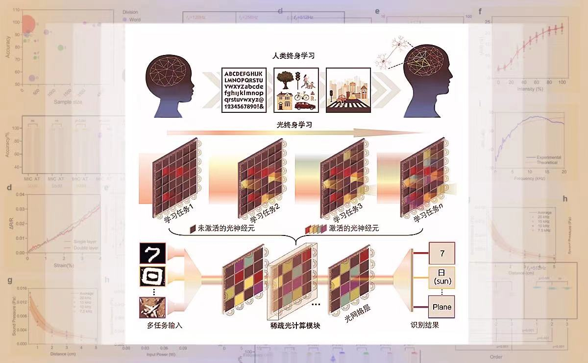 2025新澳门开门原料免费