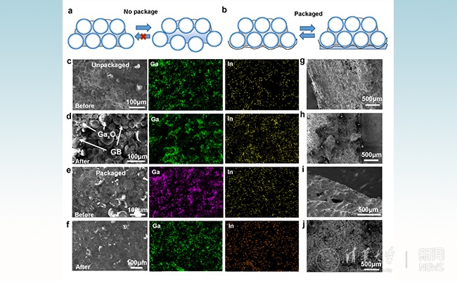 2025新澳门开门原料免费