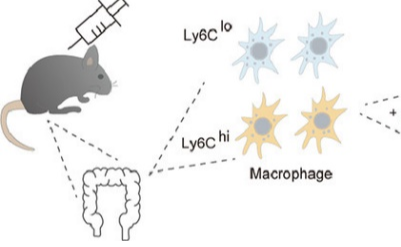 2025新澳门开门原料免费