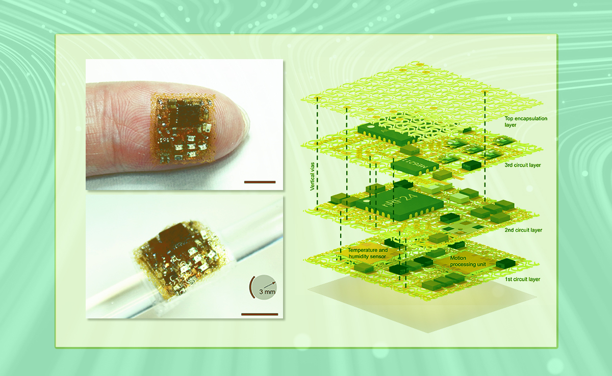 2025新澳门开门原料免费