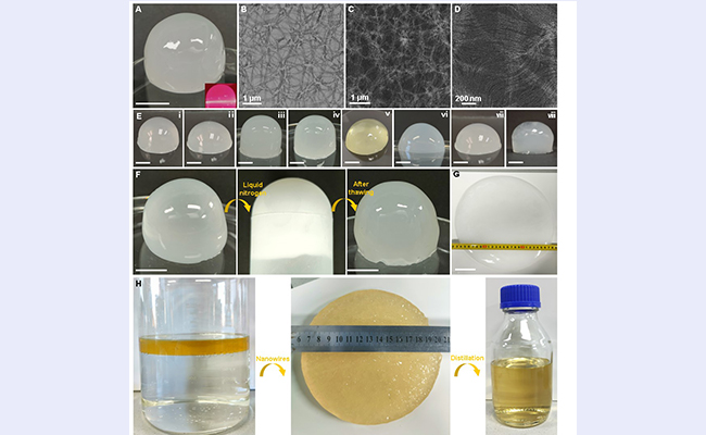 空白背景new - 副本.jpg