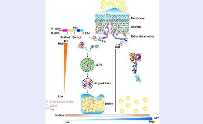 2025新澳门开门原料免费