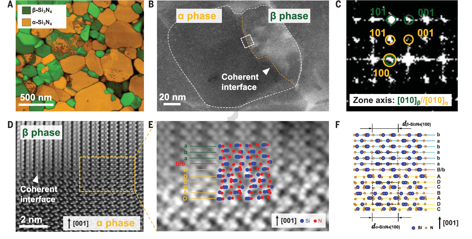 2025新澳门开门原料免费