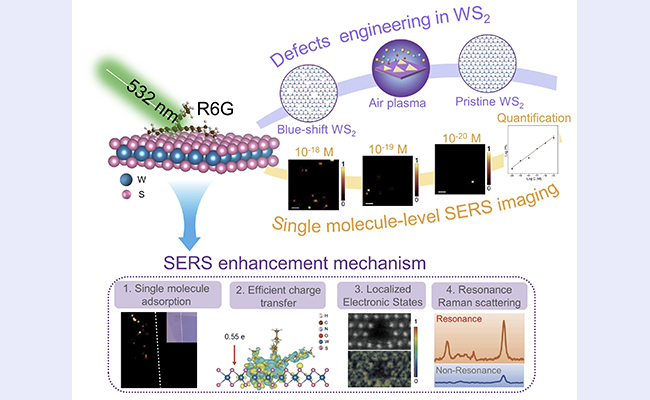 2025新澳门开门原料免费