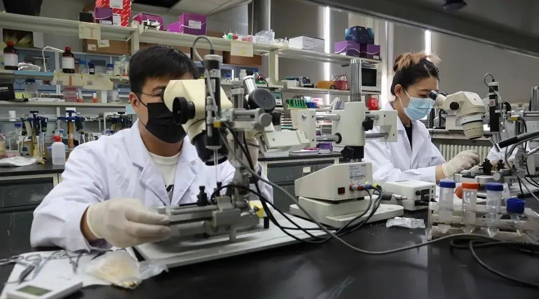 2025新澳门开门原料免费