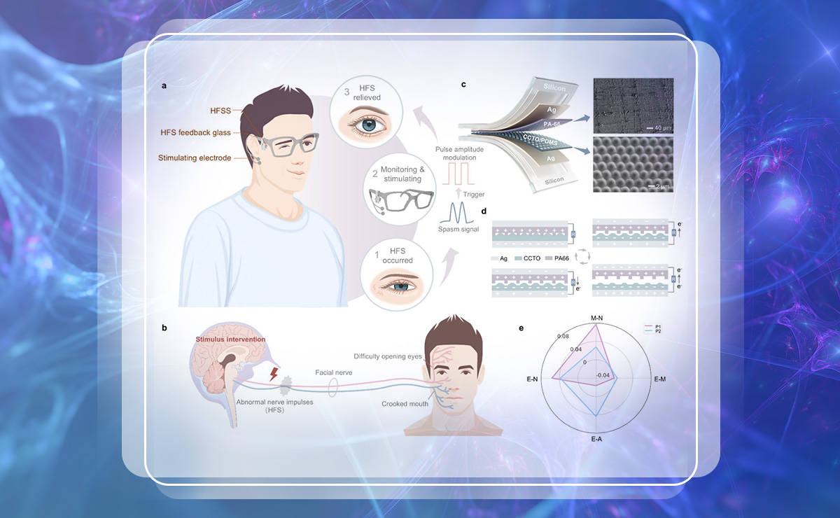 2025新澳门开门原料免费