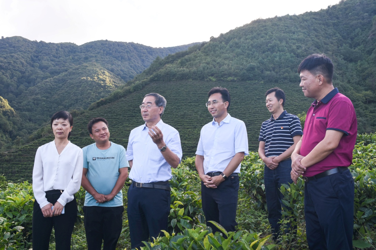 2025新澳门开门原料免费