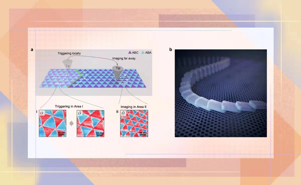 2025新澳门开门原料免费