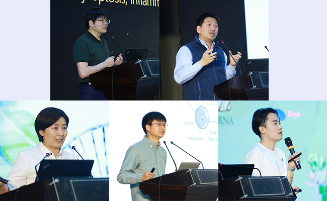 2025新澳门开门原料免费