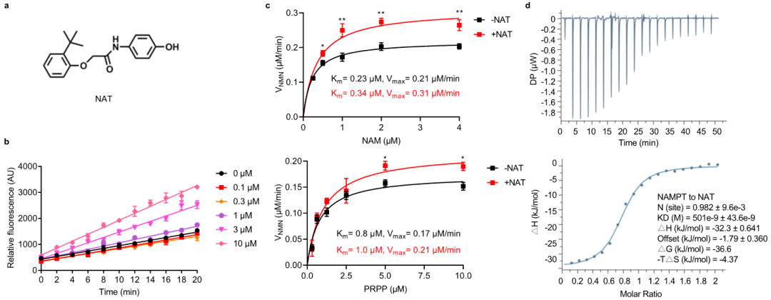 2025新澳门开门原料免费