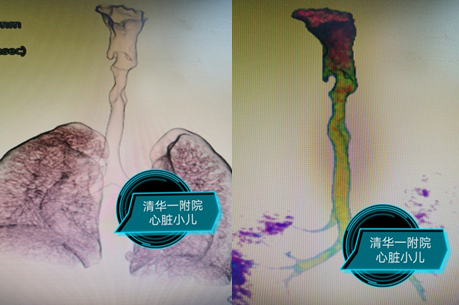 2025新澳门开门原料免费