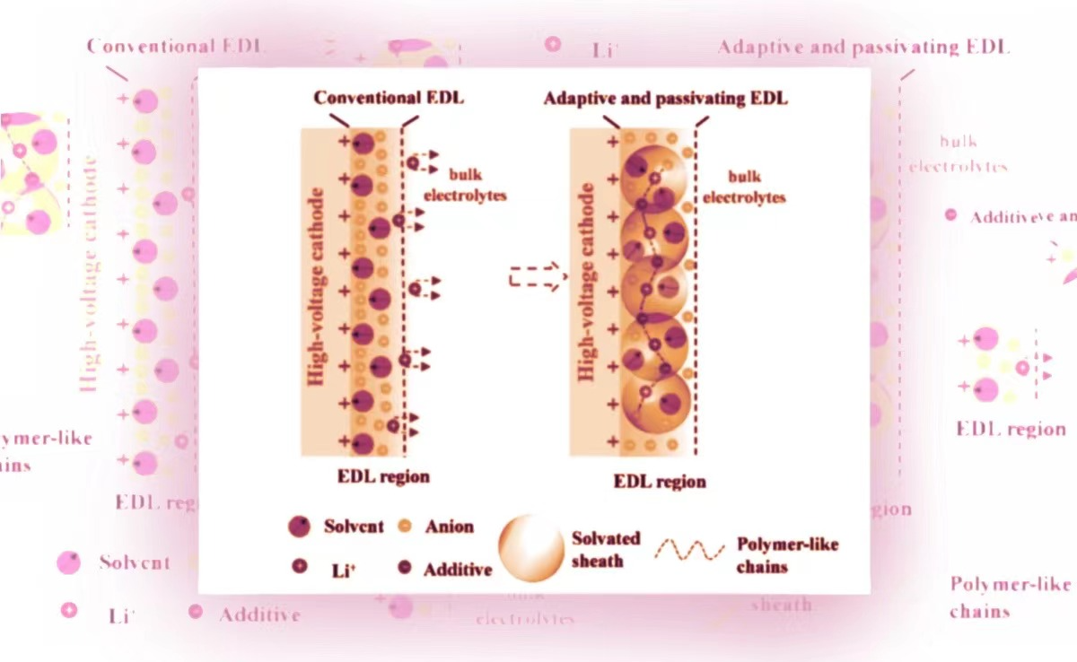 2025新澳门开门原料免费