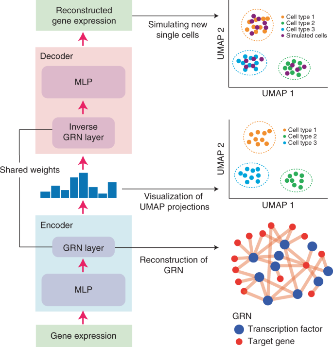 2025新澳门开门原料免费