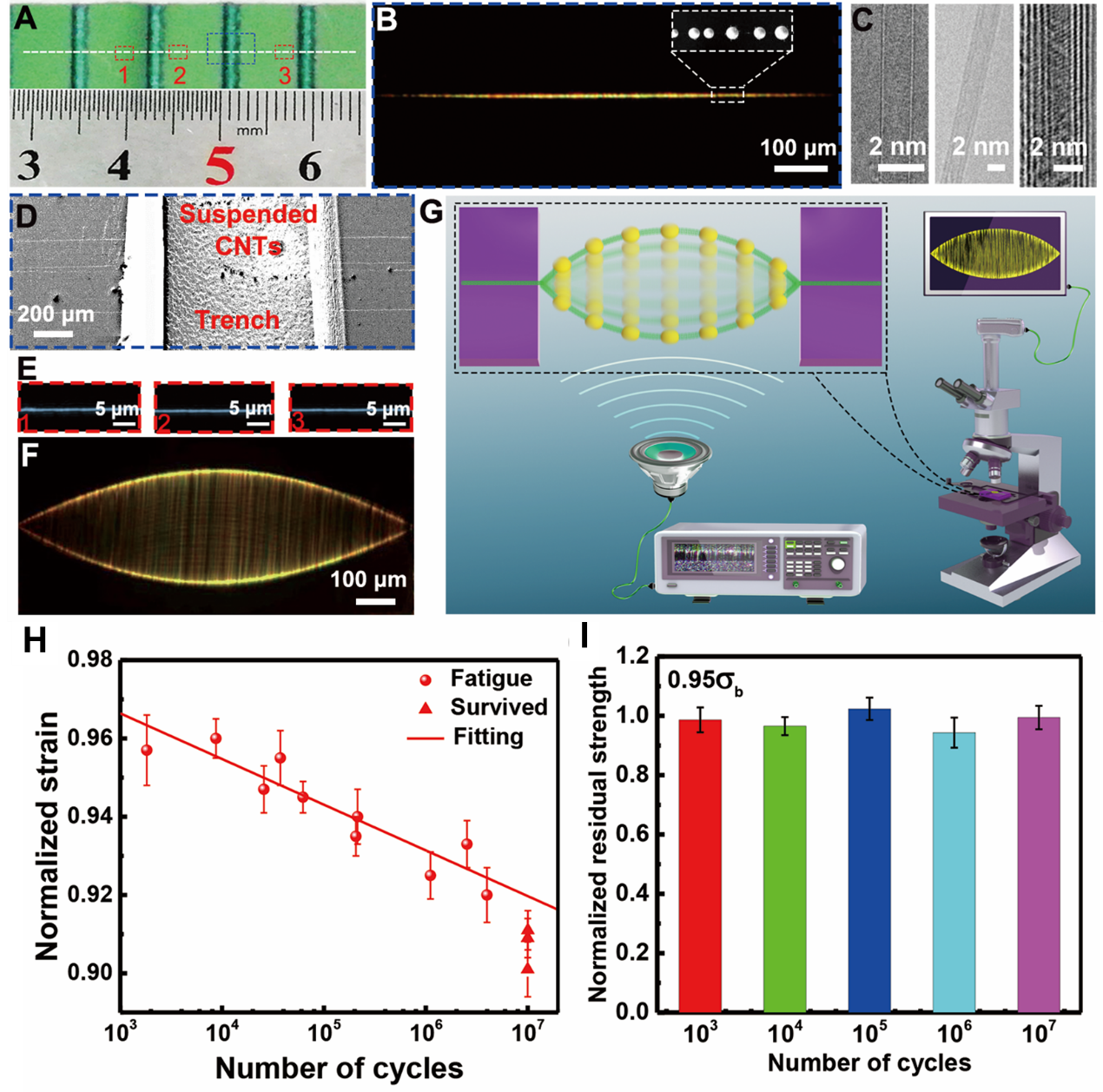 2025新澳门开门原料免费