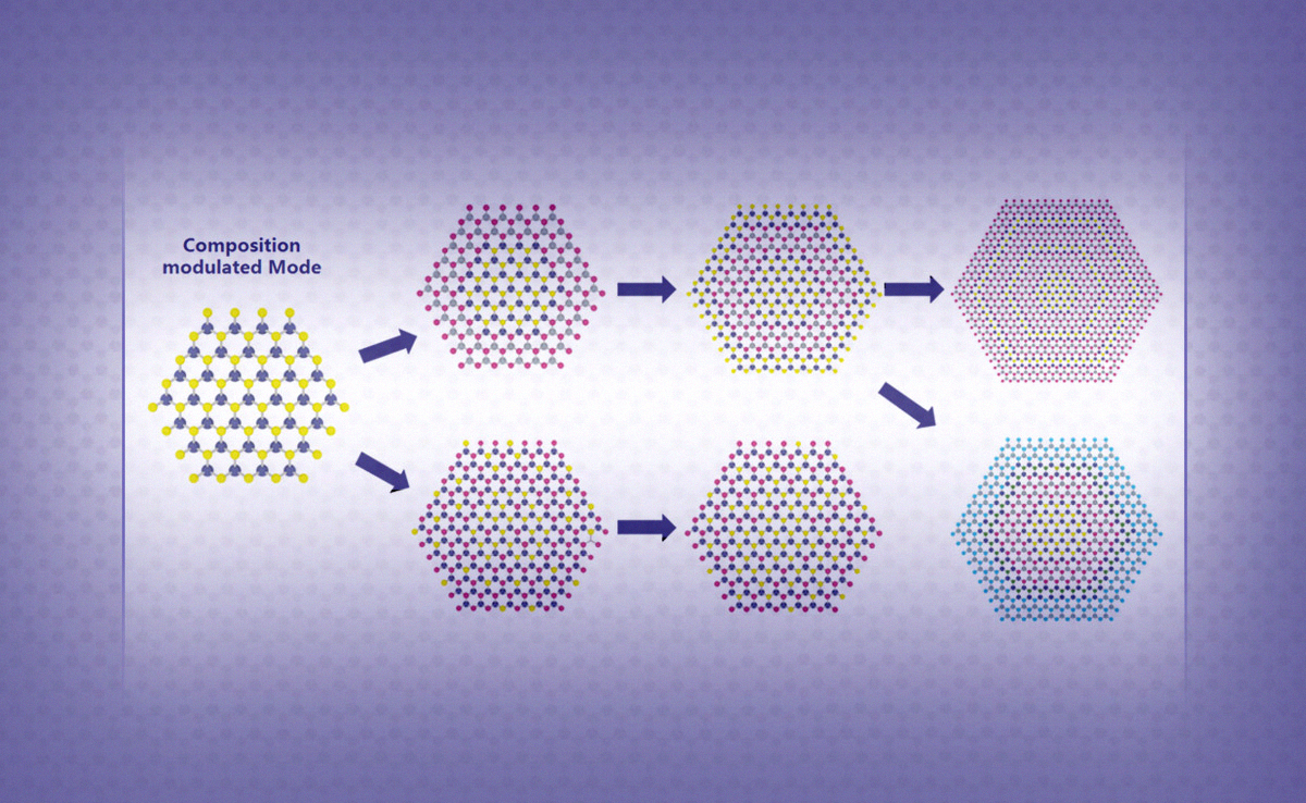 2025新澳门开门原料免费